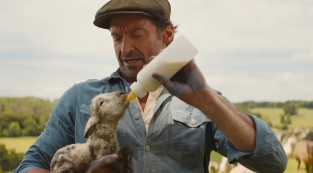 В трейлере фильма «Овечьи детективы» с Хью Джекманом овцы расследуют убийство пастуха