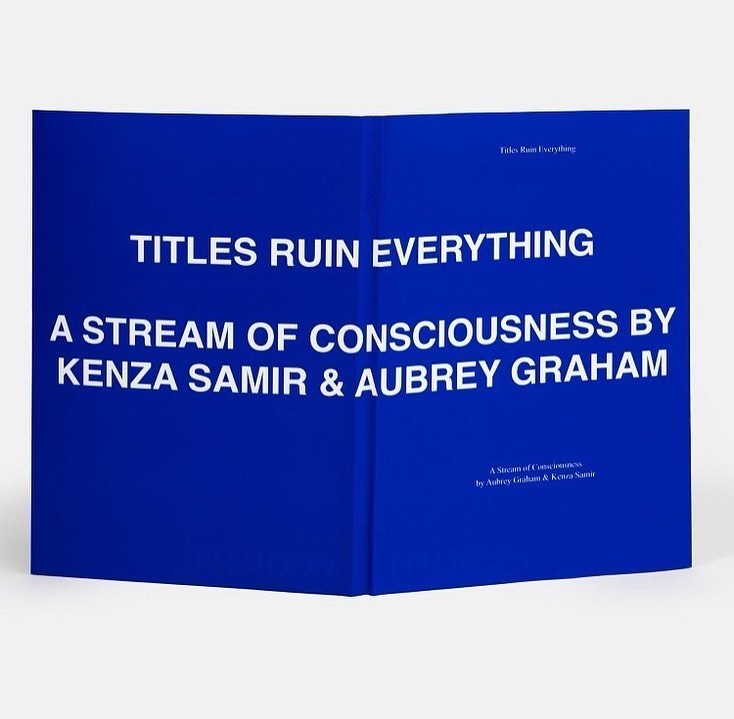 Обложка книги «Titles Ruin Everything, A Stream Of Consciousness» / Фото: соцсети Дрейка