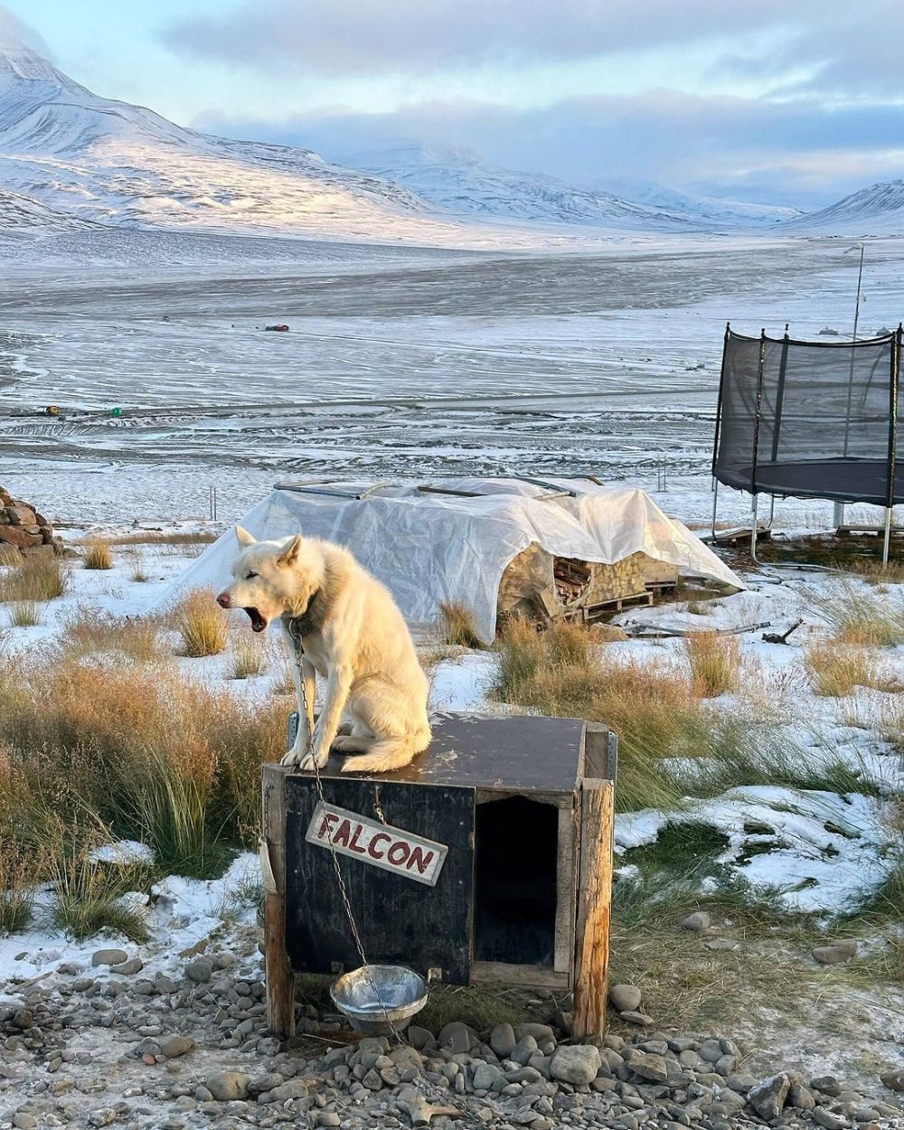 Кадр со съемок фильма «Супермен» (2025) / Фото: Instagram*/jamesgunn / *соцсеть признана в России экстремистской и запрещена