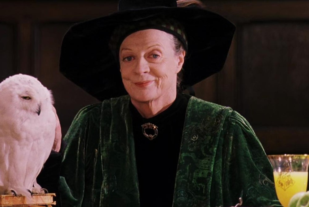 Кадр из фильма «Гарри Поттер и философский камень» (2001)