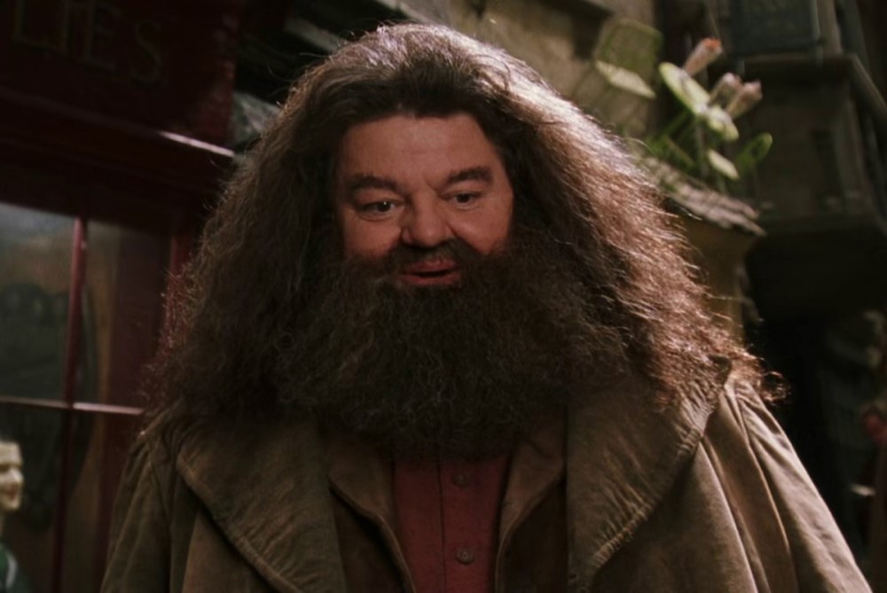 Кадр из фильма «Гарри Поттер и философский камень» (2001)