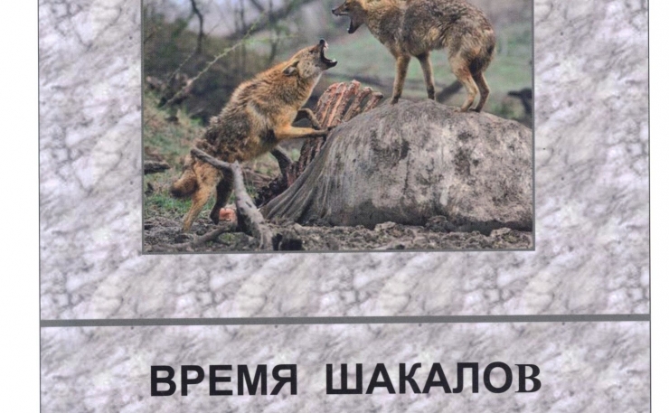 Гояч. Шакал мемы. Цитаты против шакалов. Волк в окружении шакалов. Шкала шакалов.