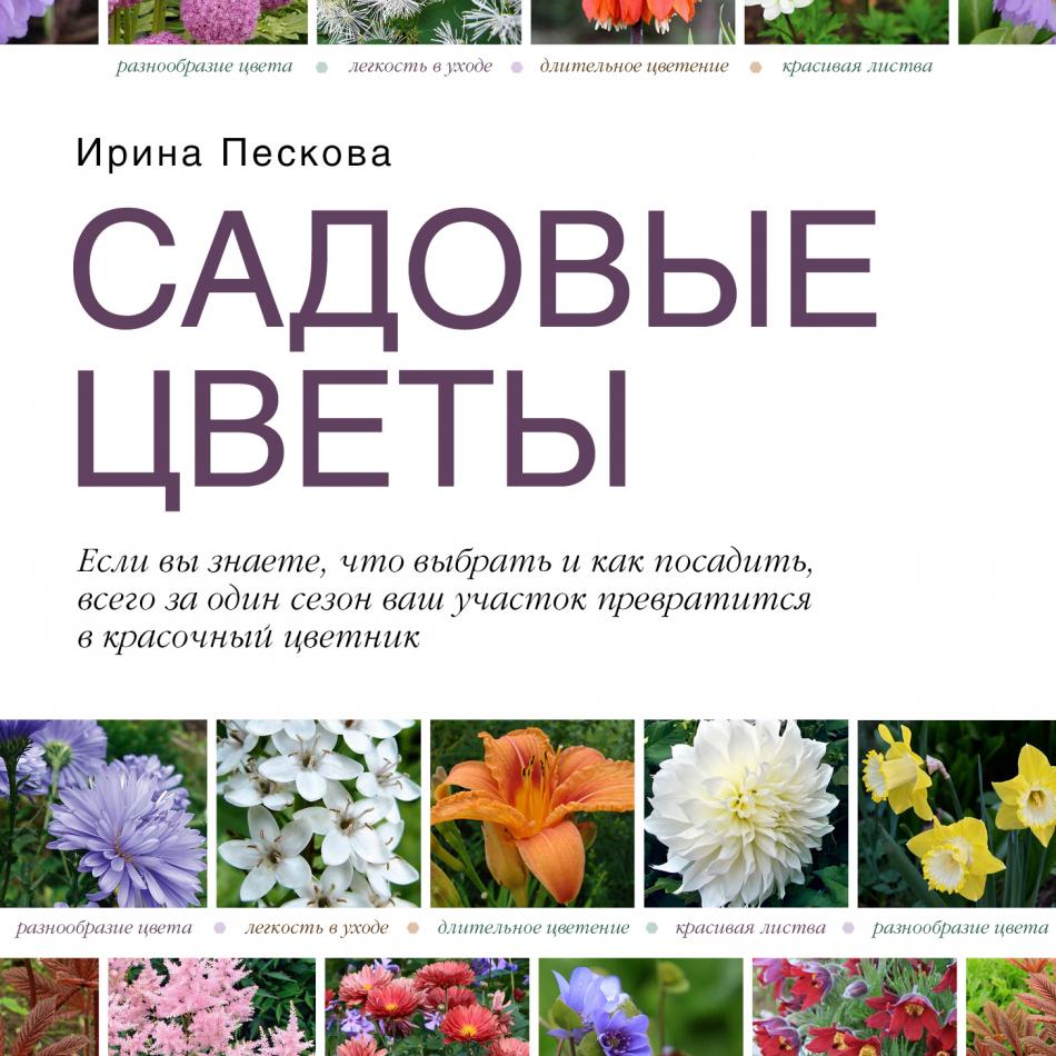 Каталог цветов с фото с названиями