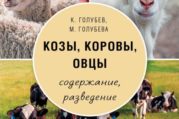 Козу хоум интернет